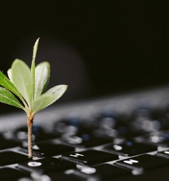 Produção de Áudio